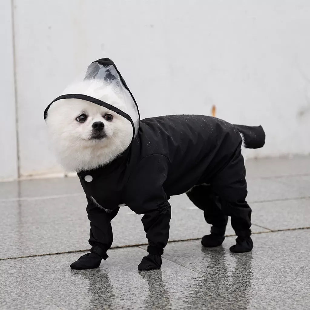 Four-Leg Dog Rain Suit with Clear Hood and Leash Access - product detail
