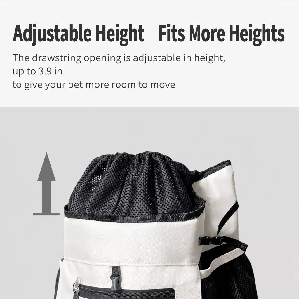 Mesh Front and Back Pet Carrier with Supportive Base - product detail