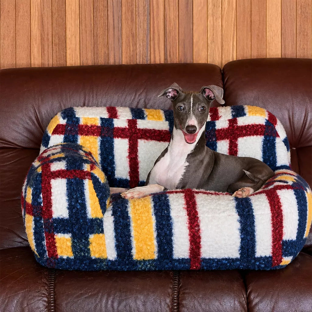 Dog resting in multicolor plaid pet sofa