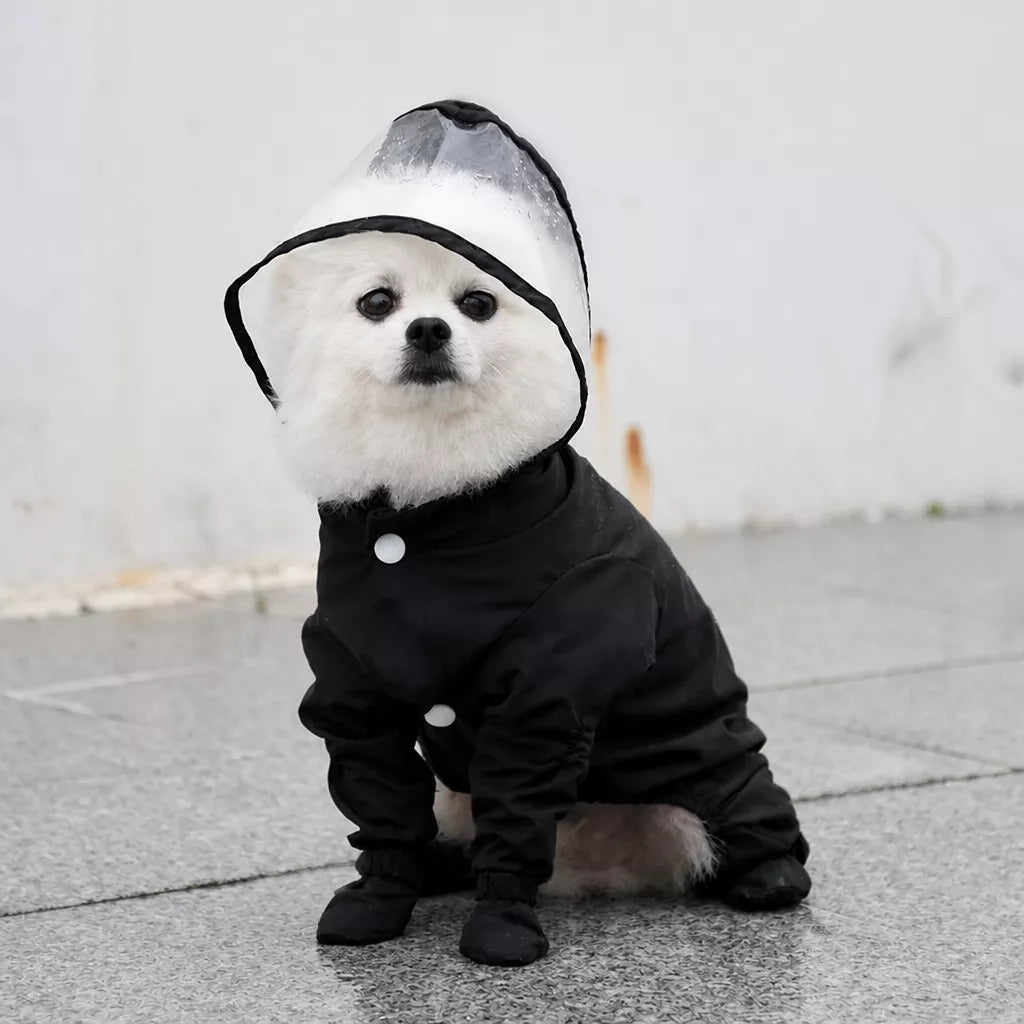 Four-Leg Dog Rain Suit with Clear Hood and Leash Access - product detail