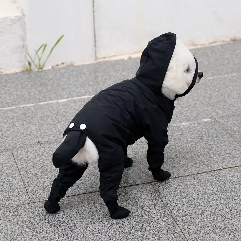 Four-Leg Dog Rain Suit with Clear Hood and Leash Access - product detail