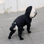 Four-Leg Dog Rain Suit with Clear Hood and Leash Access - product detail