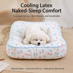 Removable Washable Pet Bed for Small Dogs