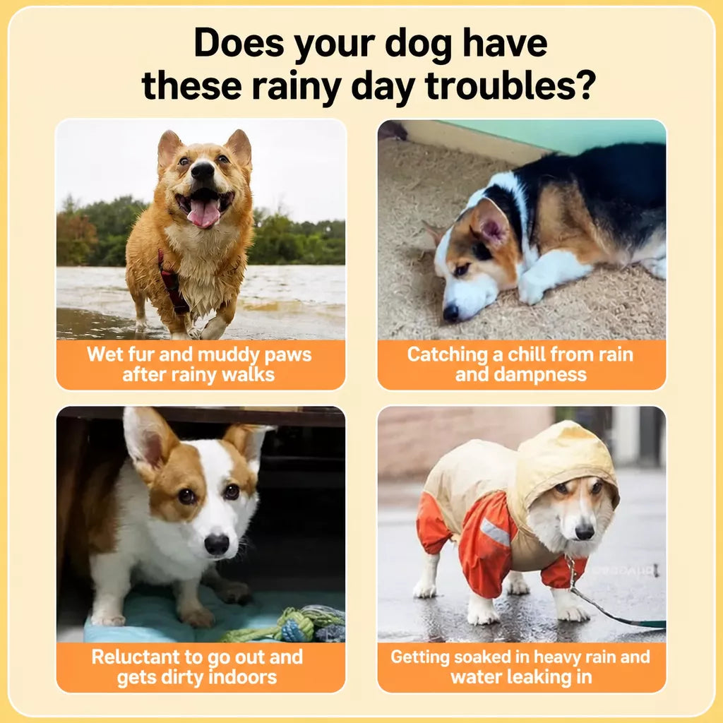 Hooded Dog Rain Poncho with Clear Brim and Belly Cover - product detail
