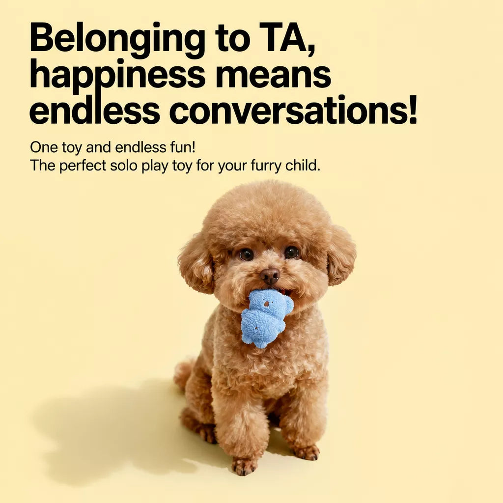 Plush Squeaky Dog Toy for Small Dogs