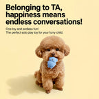Plush Squeaky Dog Toy for Small Dogs