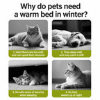 Semi-Enclosed Cat & Dog Bed with Removable Washable Cover