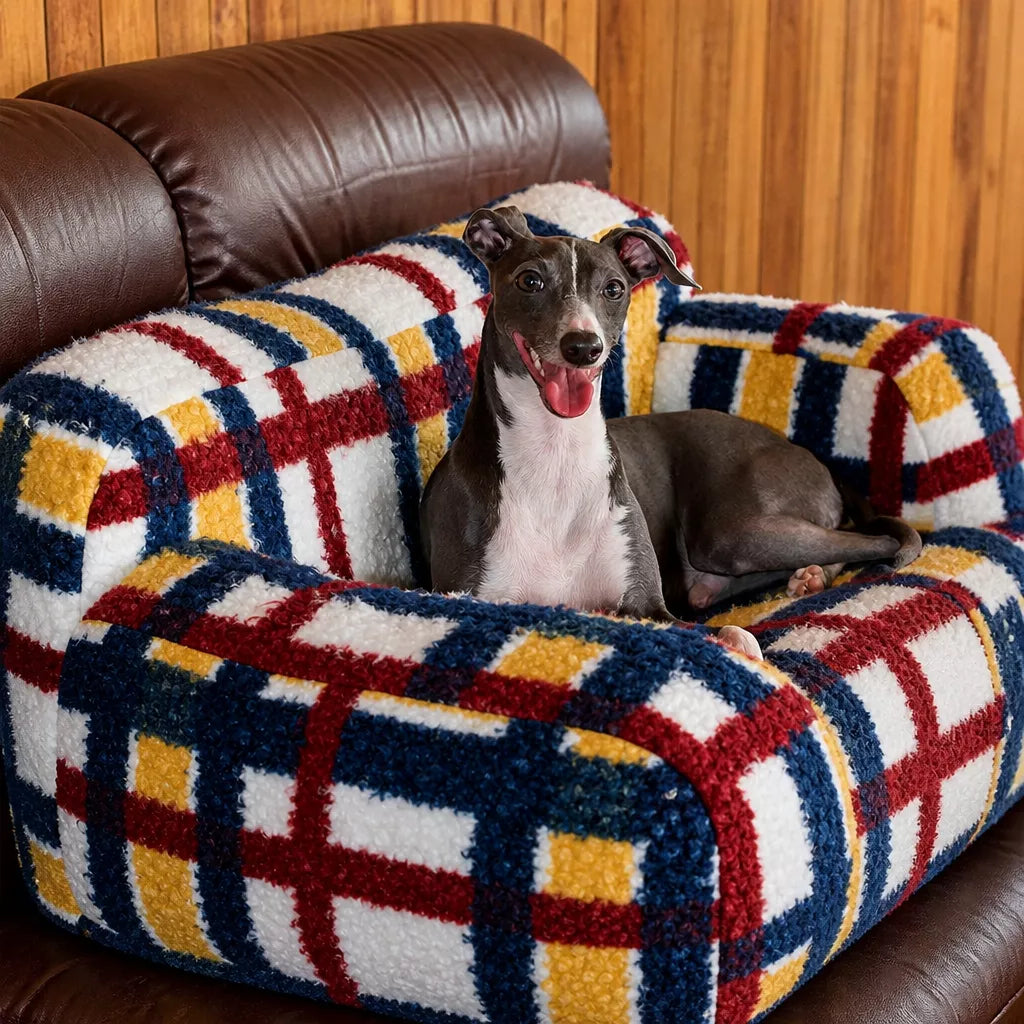 Multicolor pet sofa padded arms