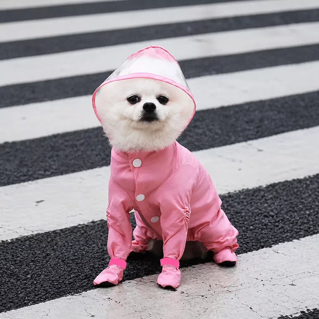 Four-Leg Dog Rain Suit with Clear Hood and Leash Access - product detail