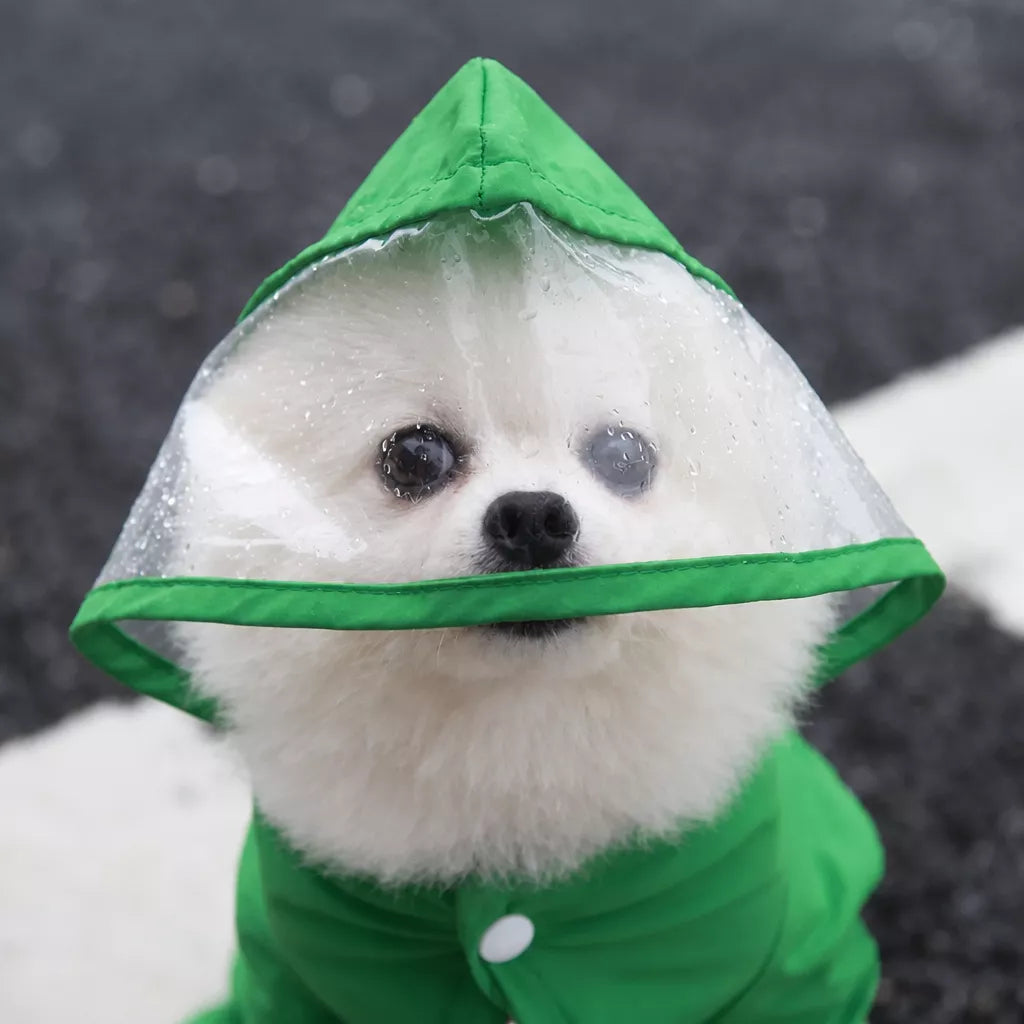 Four-Leg Dog Rain Suit with Clear Hood and Leash Access - product detail