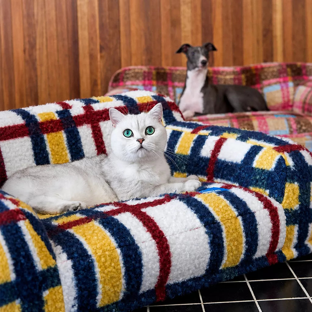 Cat lying in multicolor pet sofa