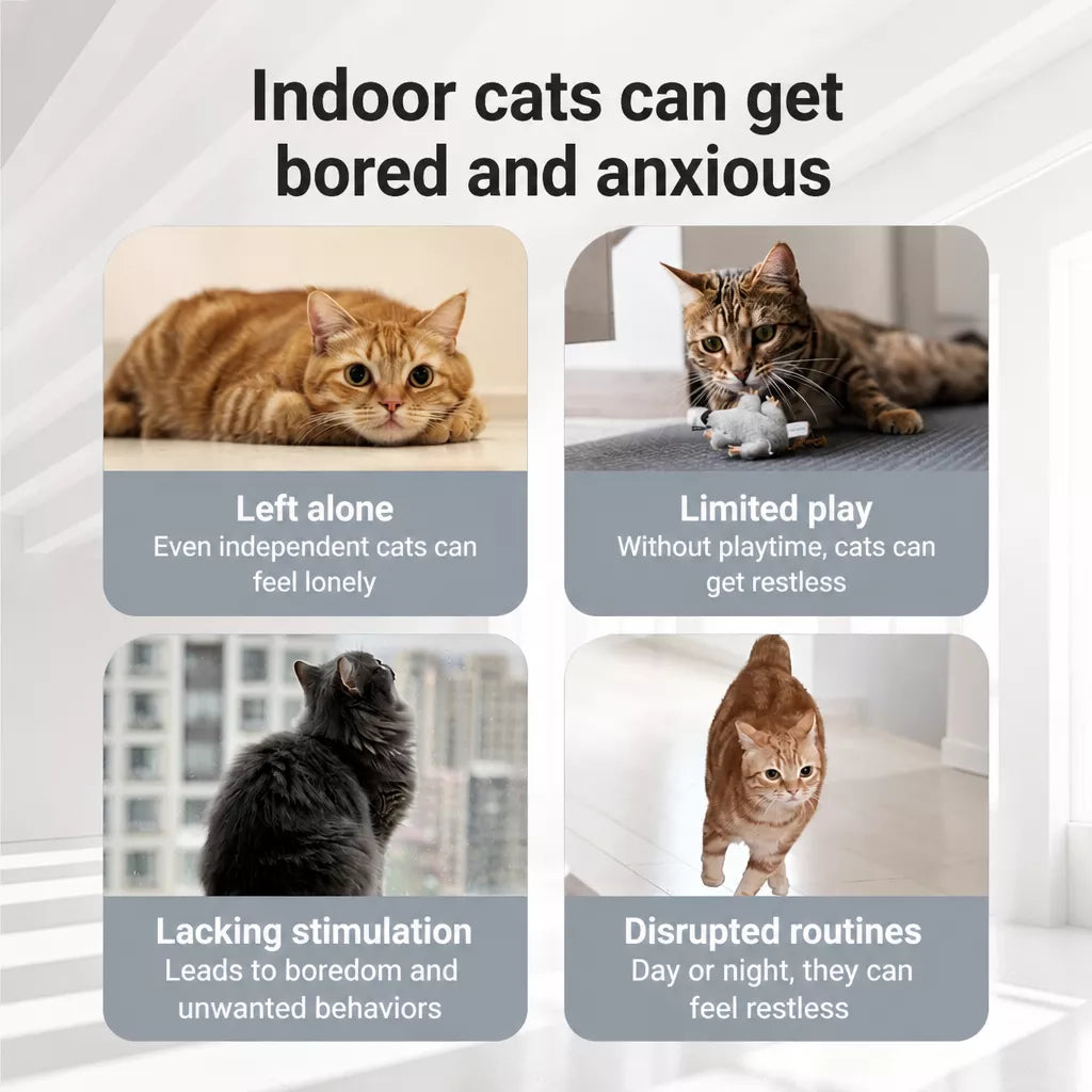 5-in-1 Planet Tumbler Cat Toy