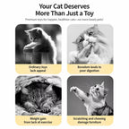 Interactive Cat Toy Collection
