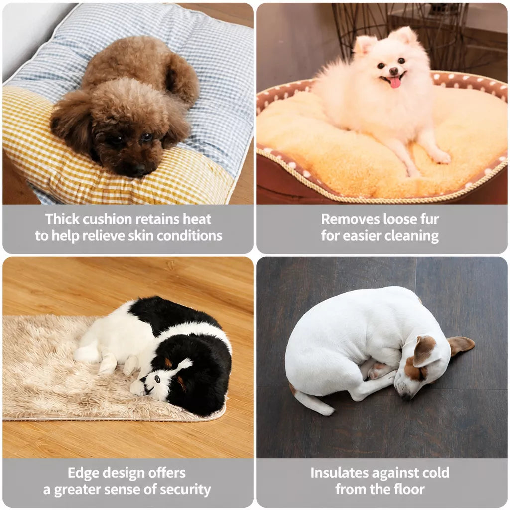 Seasonal pet-bed cushion and raised-edge examples