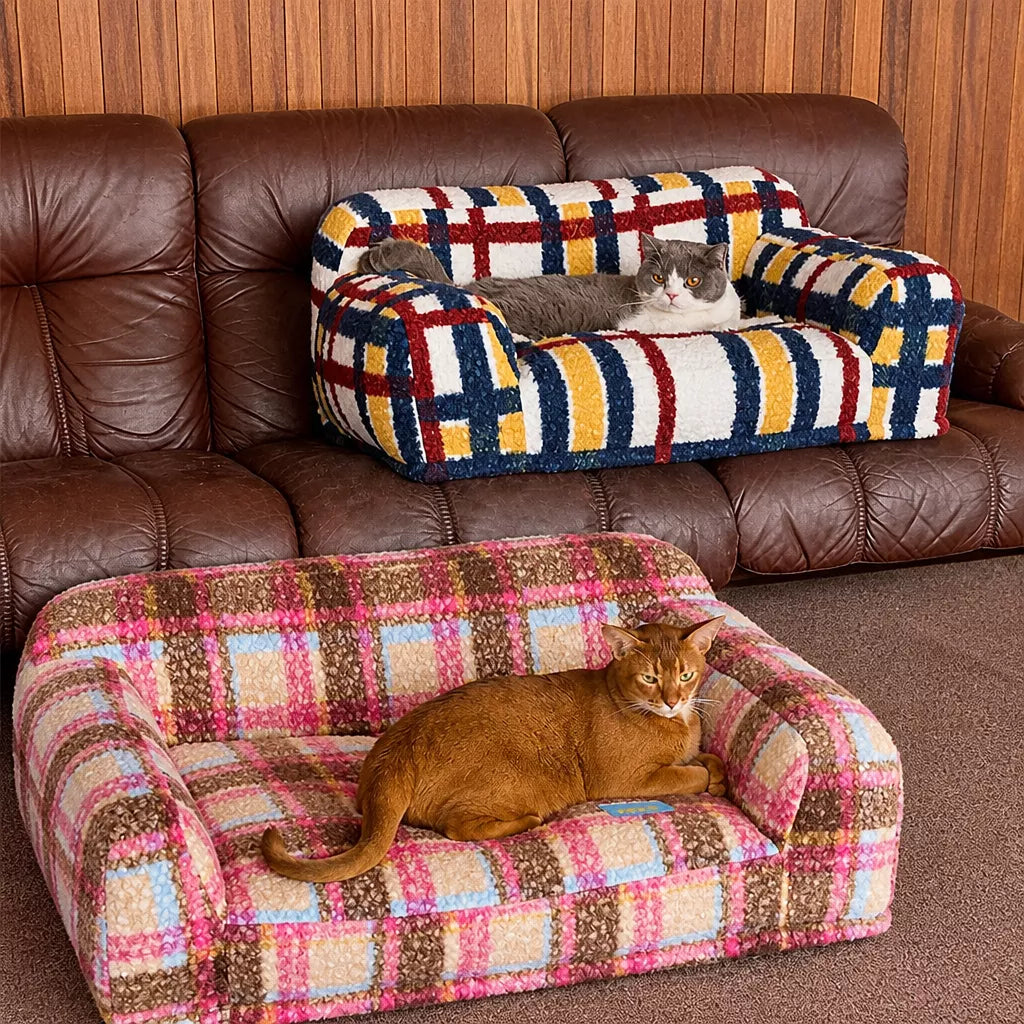 Two patterned pet sofas with cat