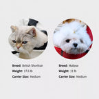 Mesh Front and Back Pet Carrier with Supportive Base - product detail