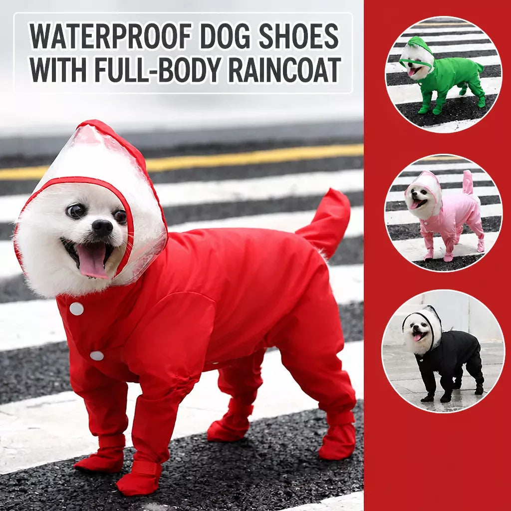 Four-Leg Dog Rain Suit with Clear Hood and Leash Access - product detail