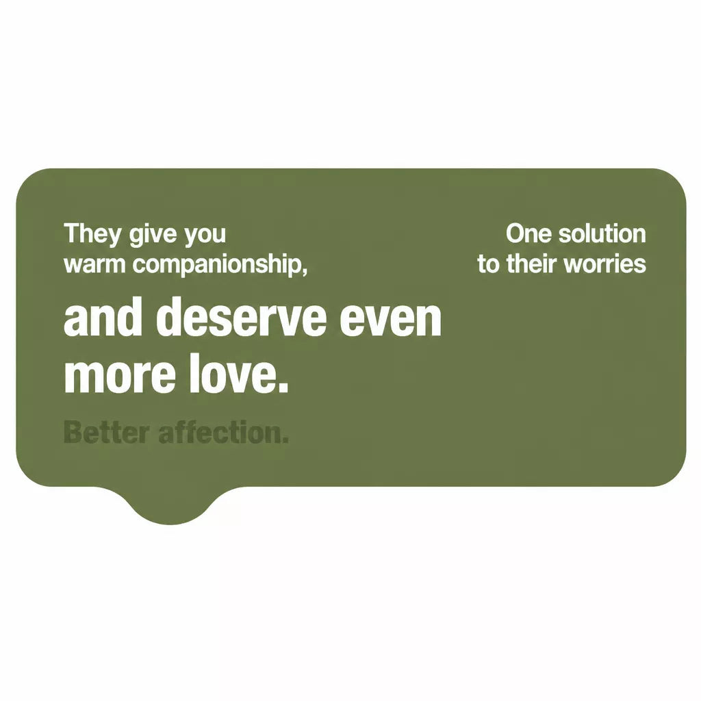 Decorative pet companionship message