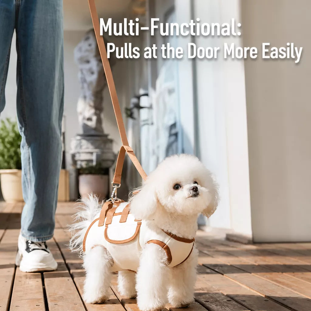 Horizontal Leg-Out Pet Carrier — design and construction details