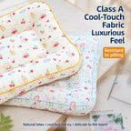 Removable Washable Pet Bed for Small Dogs