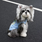Blue summer dog tank worn by a small dog