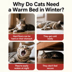 Semi-Enclosed Foam Pet Bed for Cats and Small Dogs
