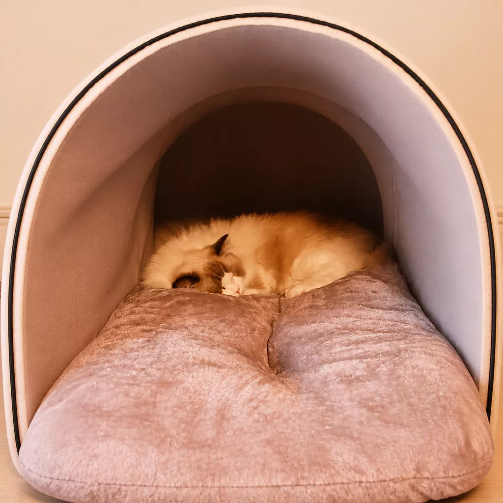 Enclosed Plush Pet House — design and construction details