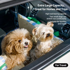 Two dogs pictured in striped car bed