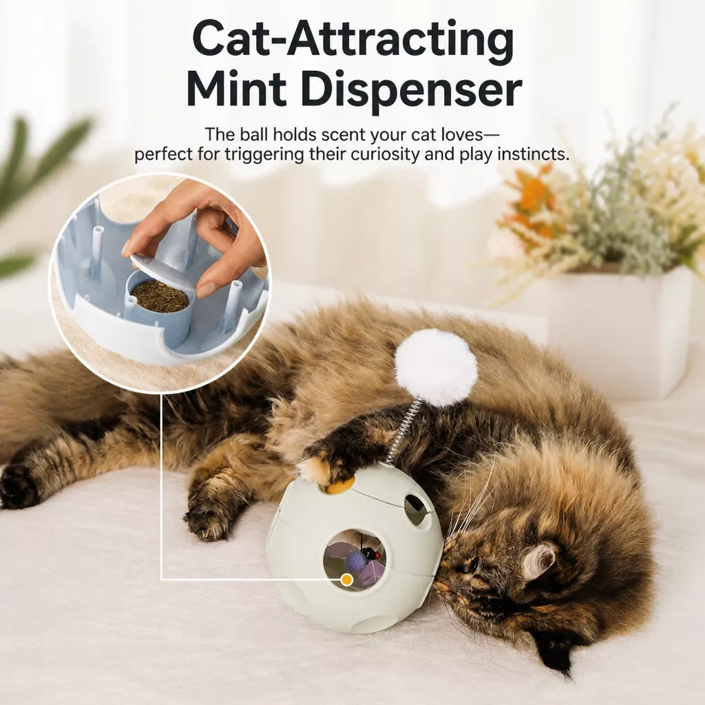 5-in-1 Planet Tumbler Cat Toy