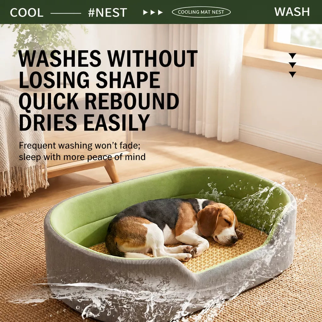 Pet bed care illustration showing washing