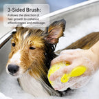 TPE Pet Bath and Massage Brush — design and construction details