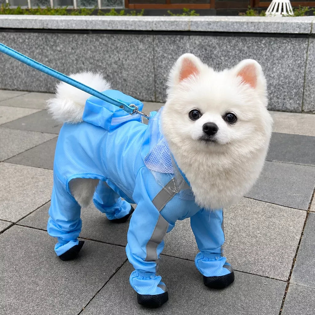 Four-Leg Dog Rain Suit with Clear Hood and Leash Access - product detail