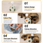 5-in-1 Planet Tumbler Cat Toy