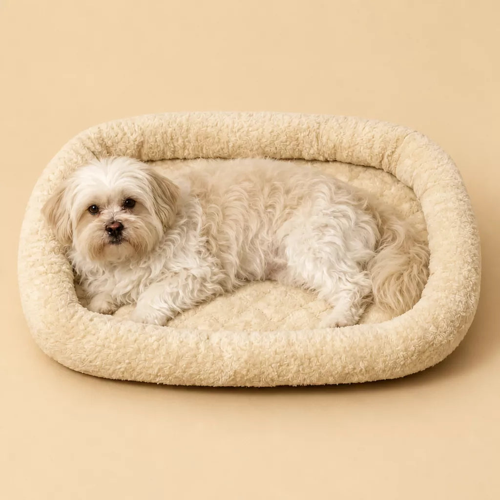 Quilted Plush Pet Bed with Low Bolsters shown in the product photo