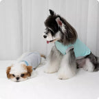 Dogs wearing pastel color-block tank tops