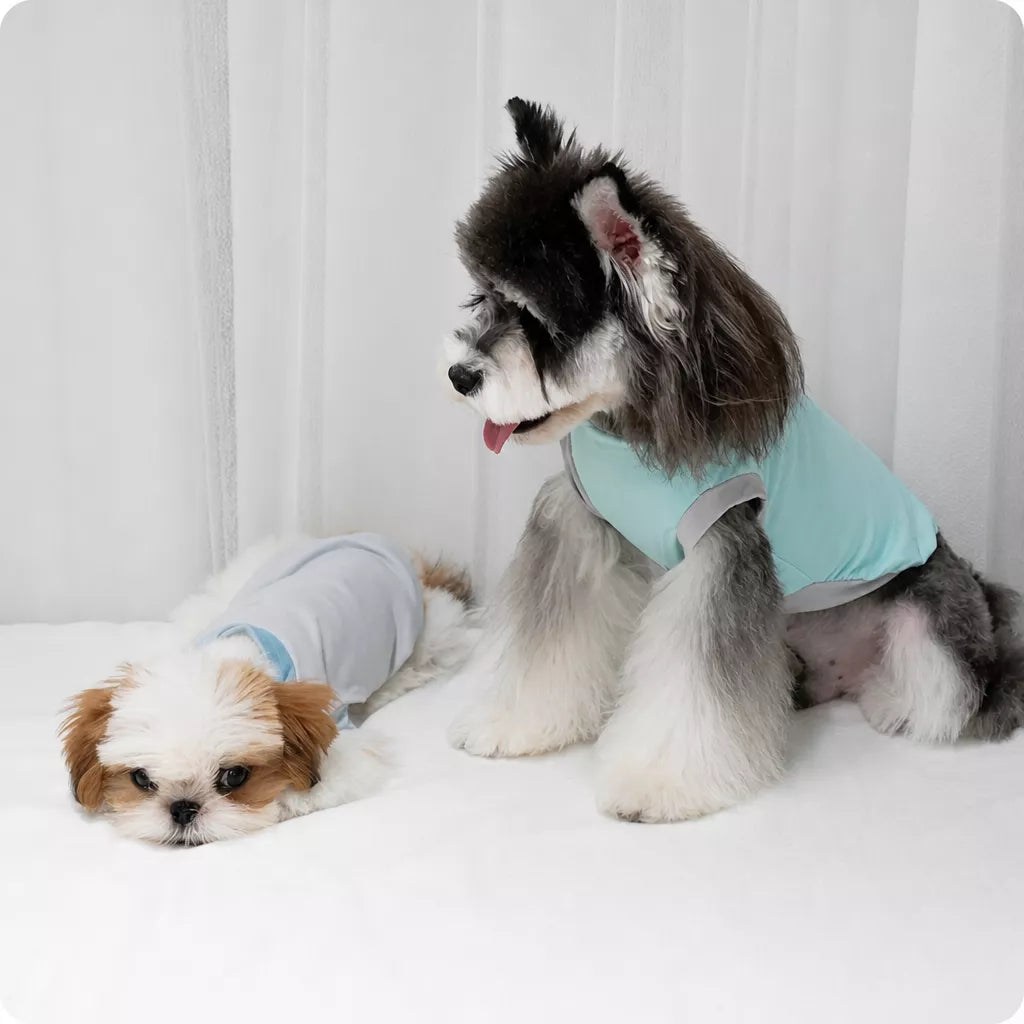 Dogs wearing pastel color-block tank tops