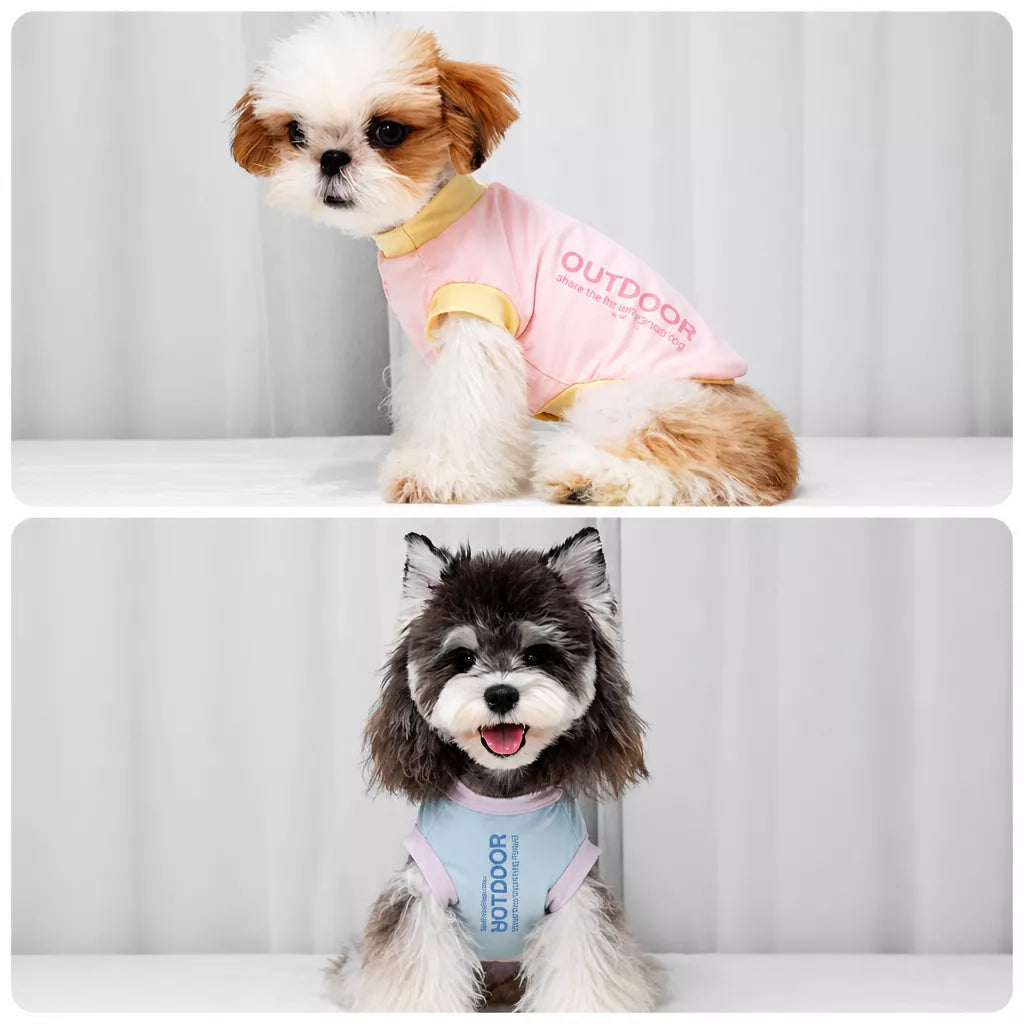 Pink and gray color-block tank tops worn by small dogs