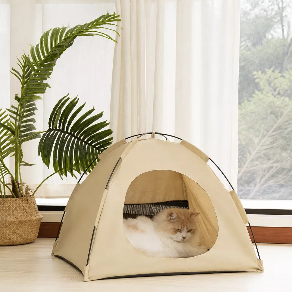 Beige pet tent bed beside a plant