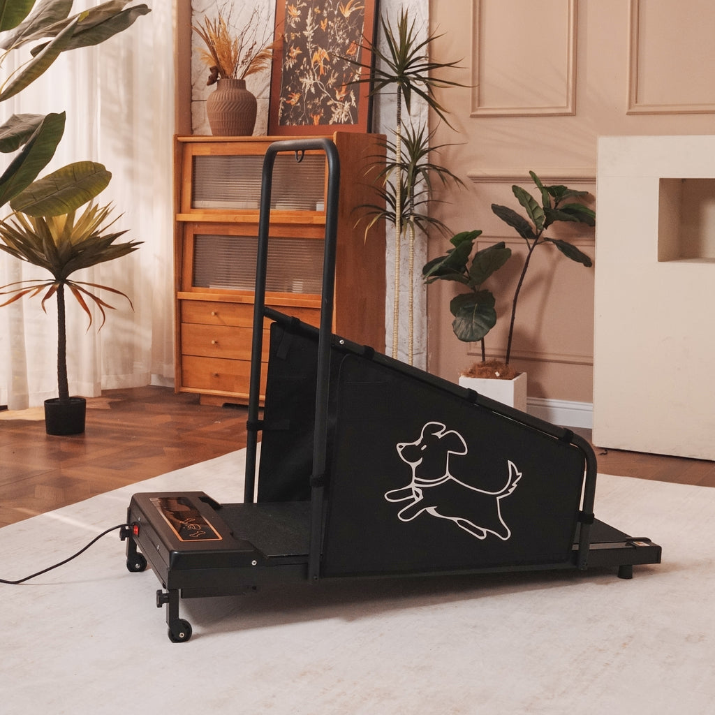 Dog Treadmill with Remote & Non-Slip Belt, Black - W206P305082 - product view 2