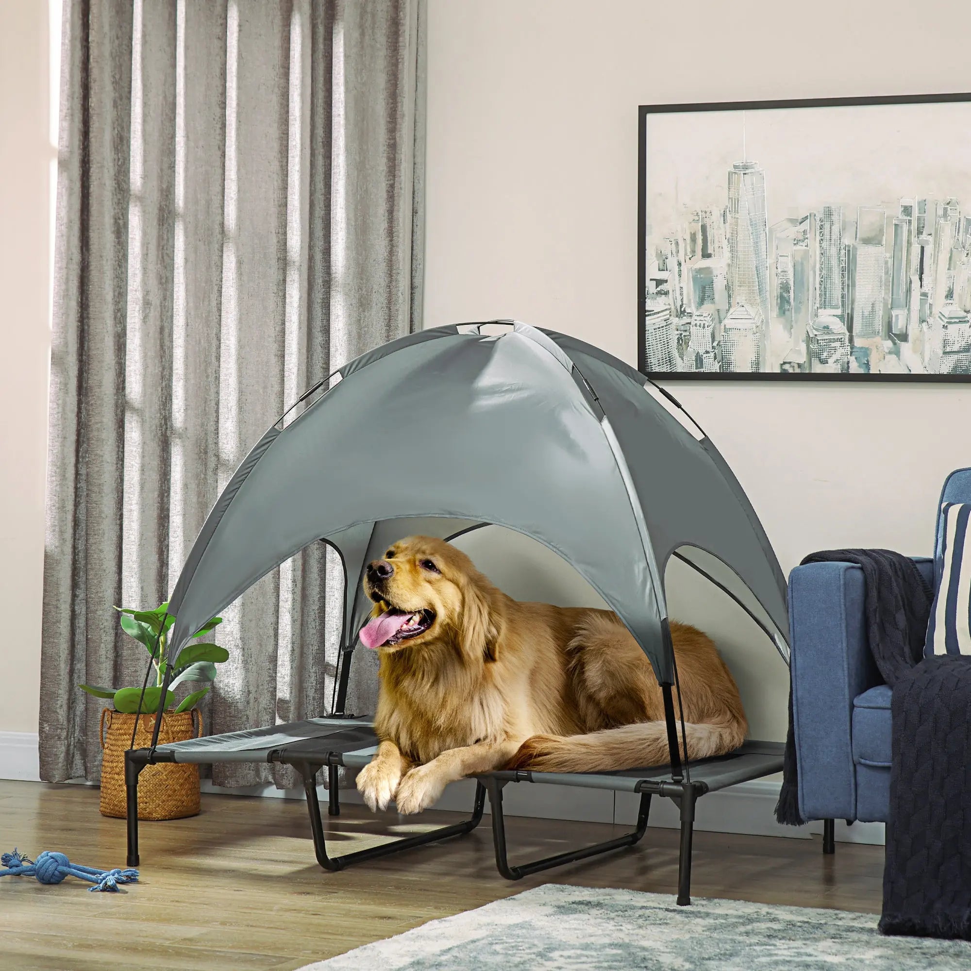 indoor lifestyle with dog — W2225P173791