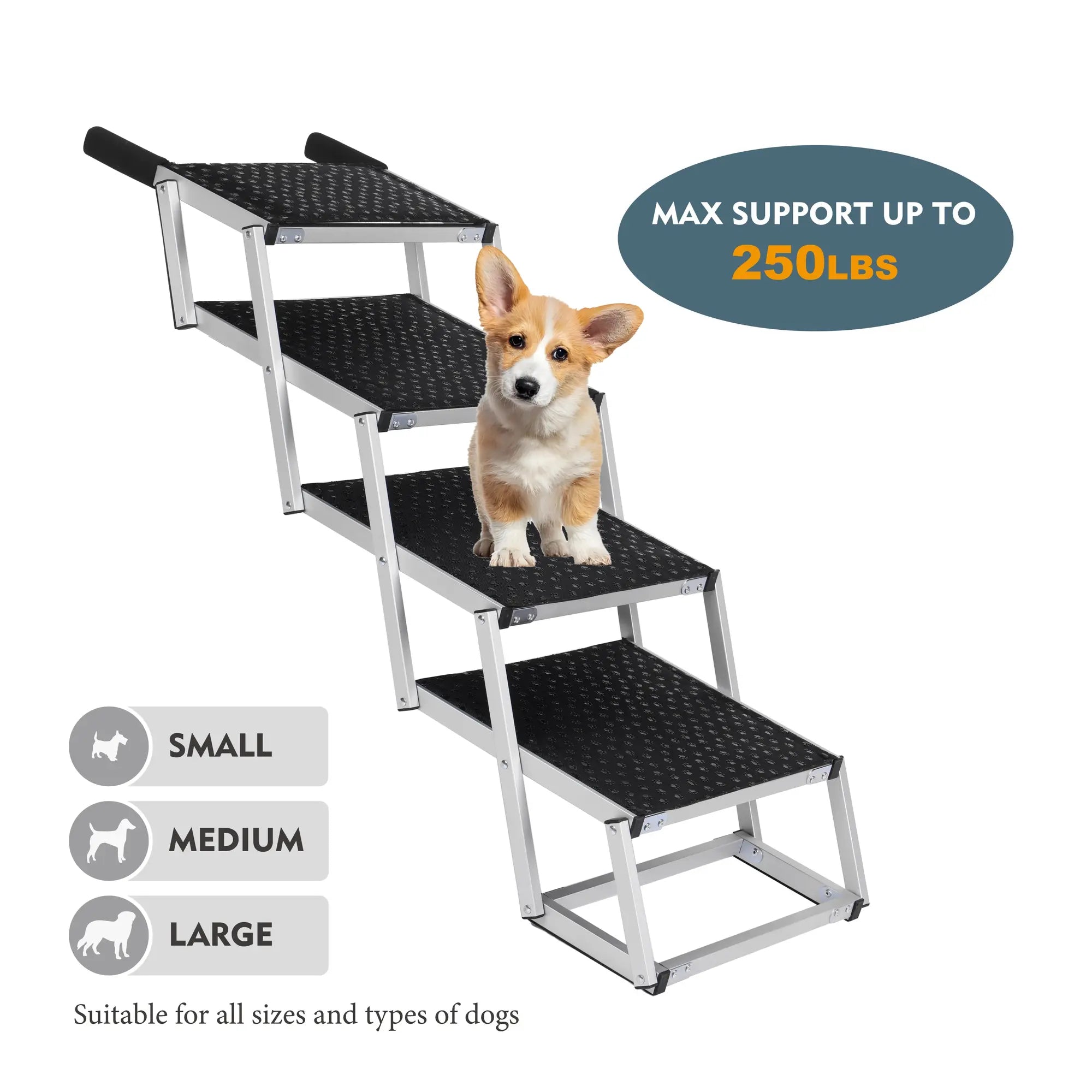 Small dog standing on black foldable dog stairs