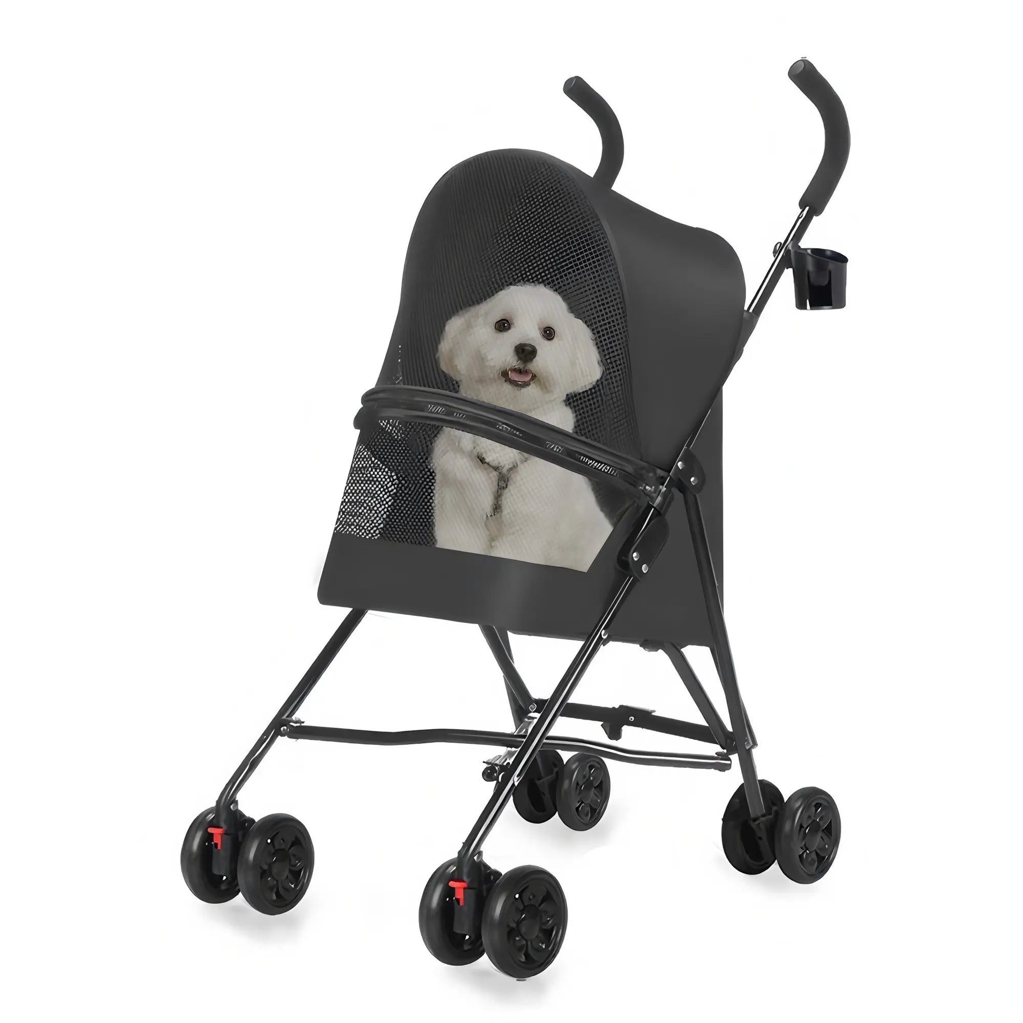 Small white dog in a black pet stroller on a white background