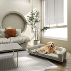 modern room lifestyle — W2225P249935