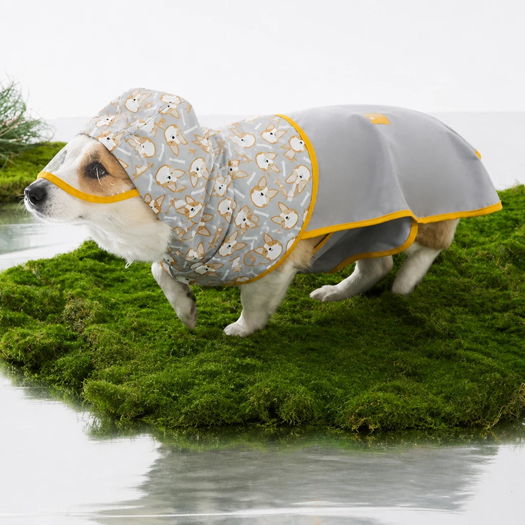 Hooded Dog Rain Poncho with Clear Brim and Belly Cover - M / Gray