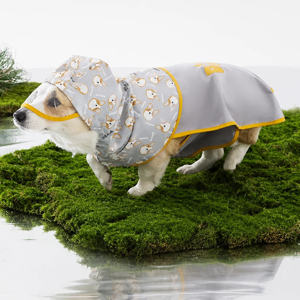 Hooded Dog Rain Poncho with Clear Brim and Belly Cover - L / Gray