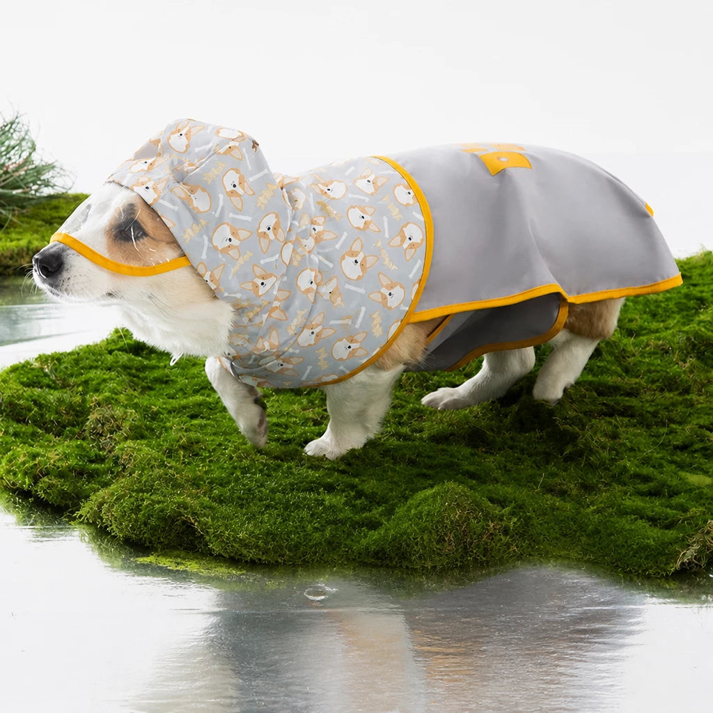 Hooded Dog Rain Poncho with Clear Brim and Belly Cover - XL / Gray