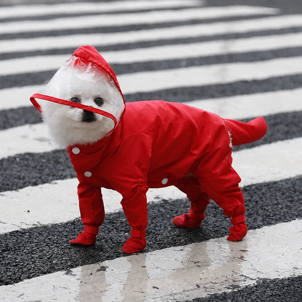 Four-Leg Dog Rain Suit with Clear Hood and Leash Access - L / Red