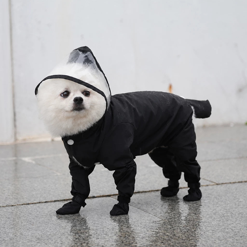Four-Leg Dog Rain Suit with Clear Hood and Leash Access - L / Black