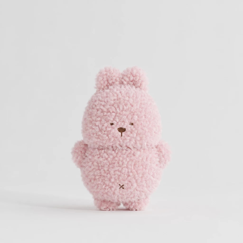 Plush Squeaky Dog Toy for Small Dogs