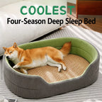 Dog resting in a gray and grass-green pet bed with woven summer surface